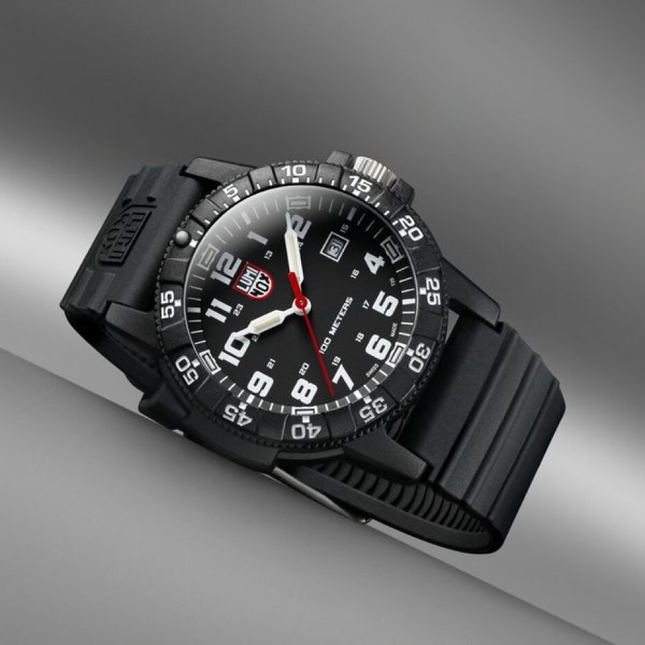 Luminox 0321 - main (13)