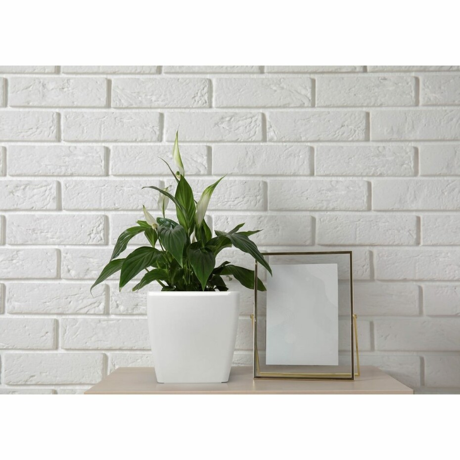Flower Lover Obal na květináč Quadrato Easy bílá, 22 cm - main (1)