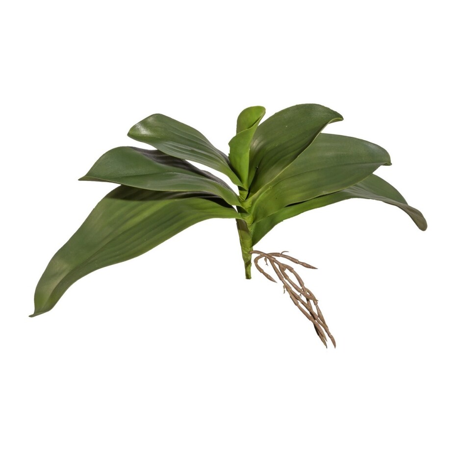 Umělý List orchideje s kořínky, 30 cm  - main (1)