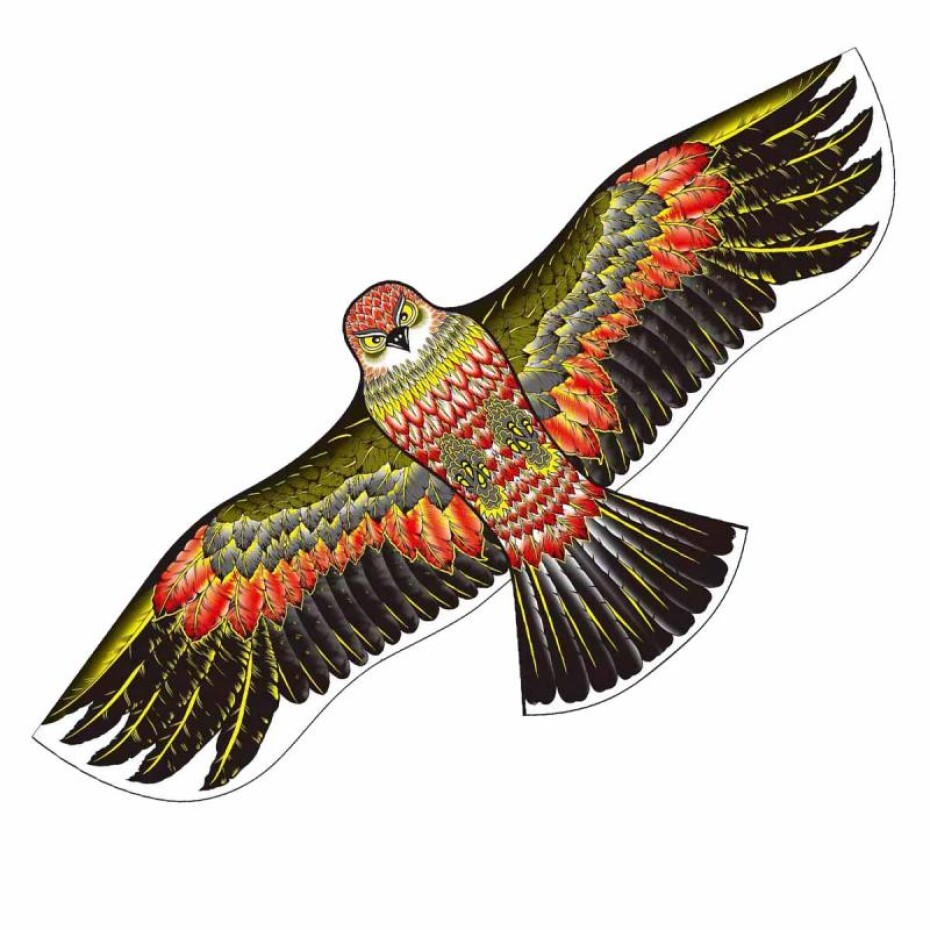 RULYT Létající drak model 14 130x70cm - main (0)