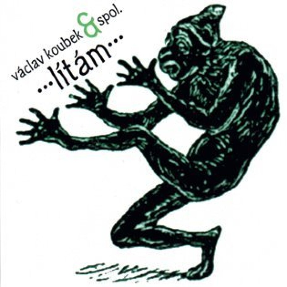 ...Lítám... - CD - Václav Koubek - main (0)