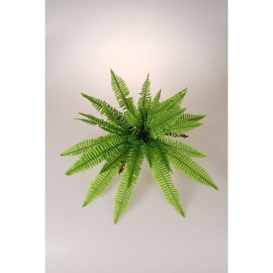 Umělé Kapradí, pr. 85 cm - main (2)