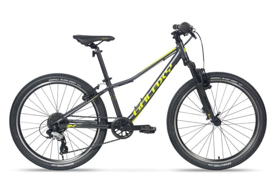 Galaxy Pavo 24 - main (0)
