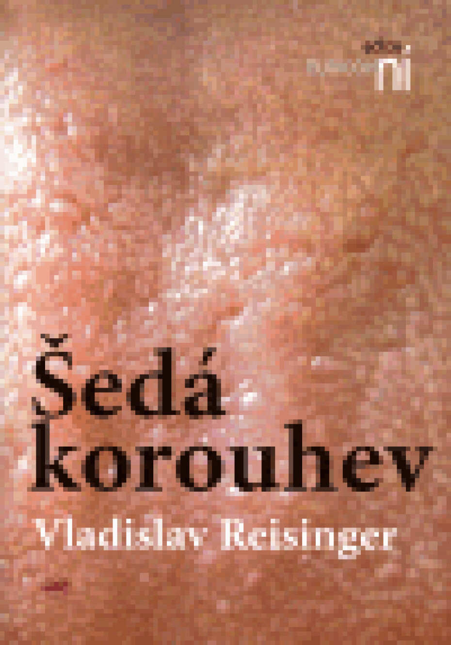 Šedá korouhev - Vladislav Reisinger - main (0)