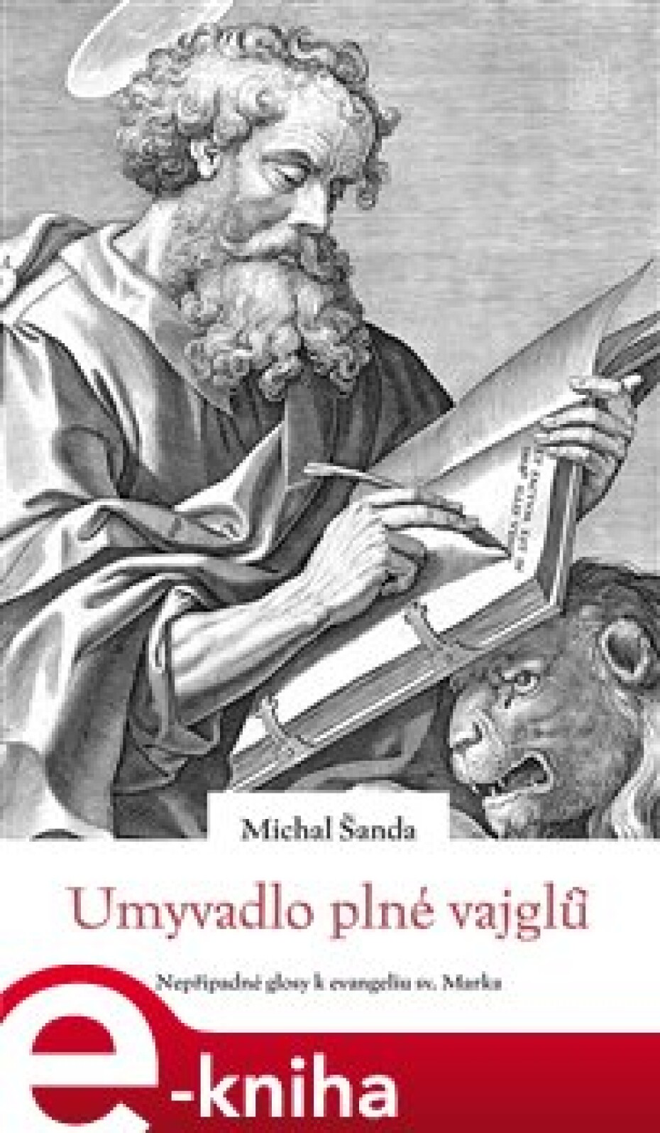 Umyvadlo plné vajglů - Michal Šanda - main (0)