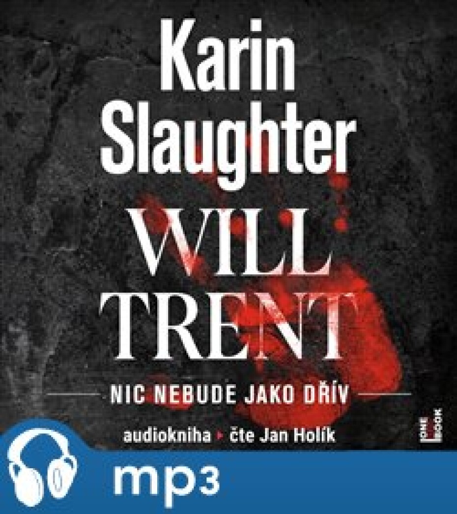 Nic nebude jako dřív, mp3 - Karin Slaughter - main (0)