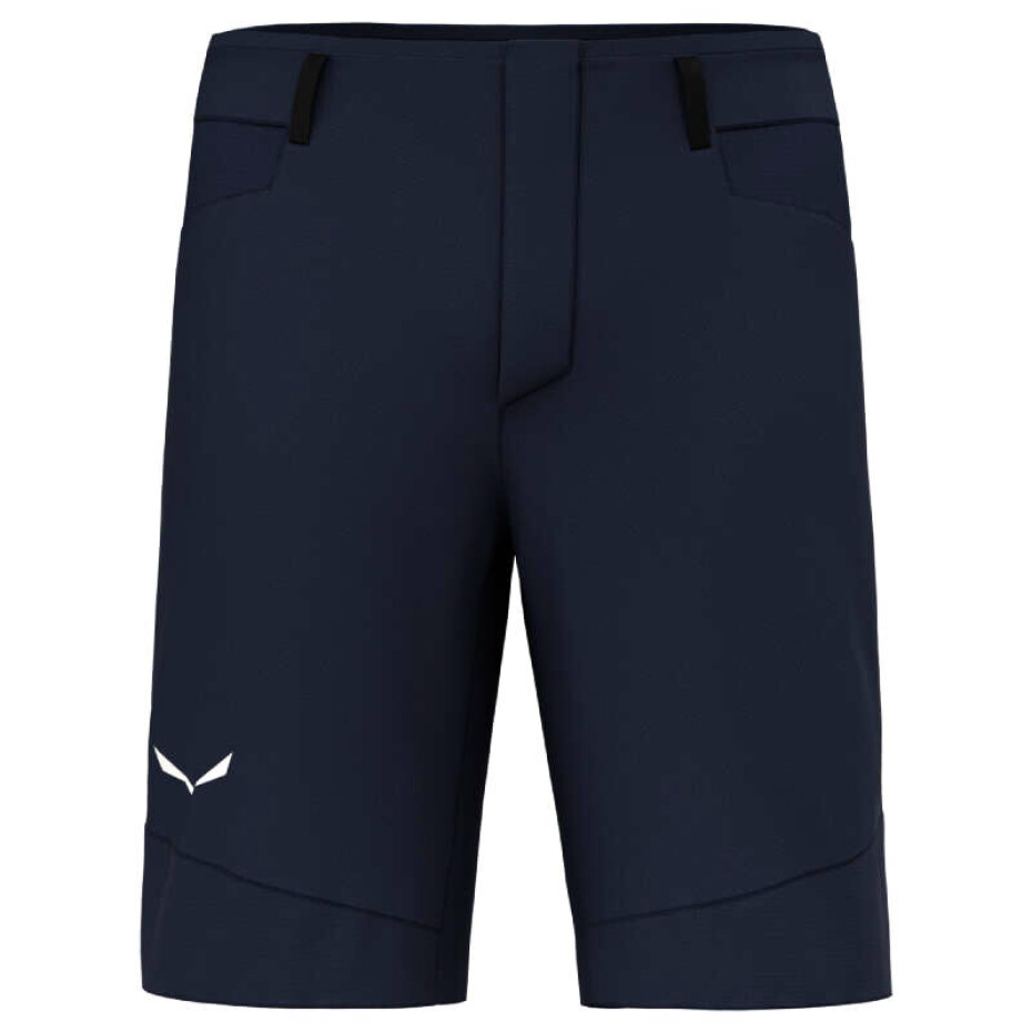 Pánské šortky Salewa  Agner DST M Shorts  XL - main (0)
