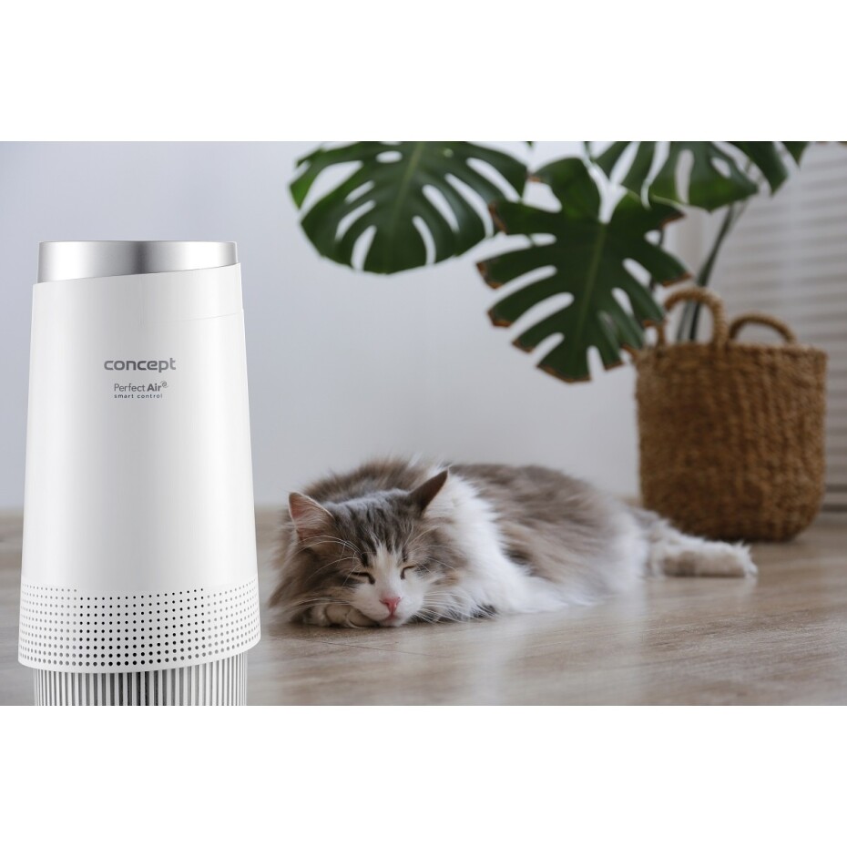 Concept CA1010 čistička vzduchu Perfect Air Smart, bílá - main (10)