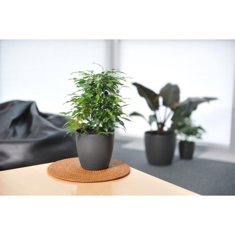 Plastia Plastový květináč Perla 16 cm, perleťová, Plastia, pr.16 cm - main (1)