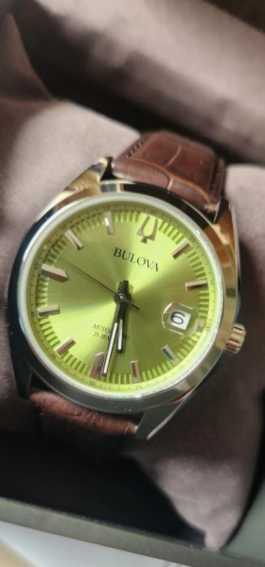 Bulova Surveyor Automatic 96B427 - main (3)