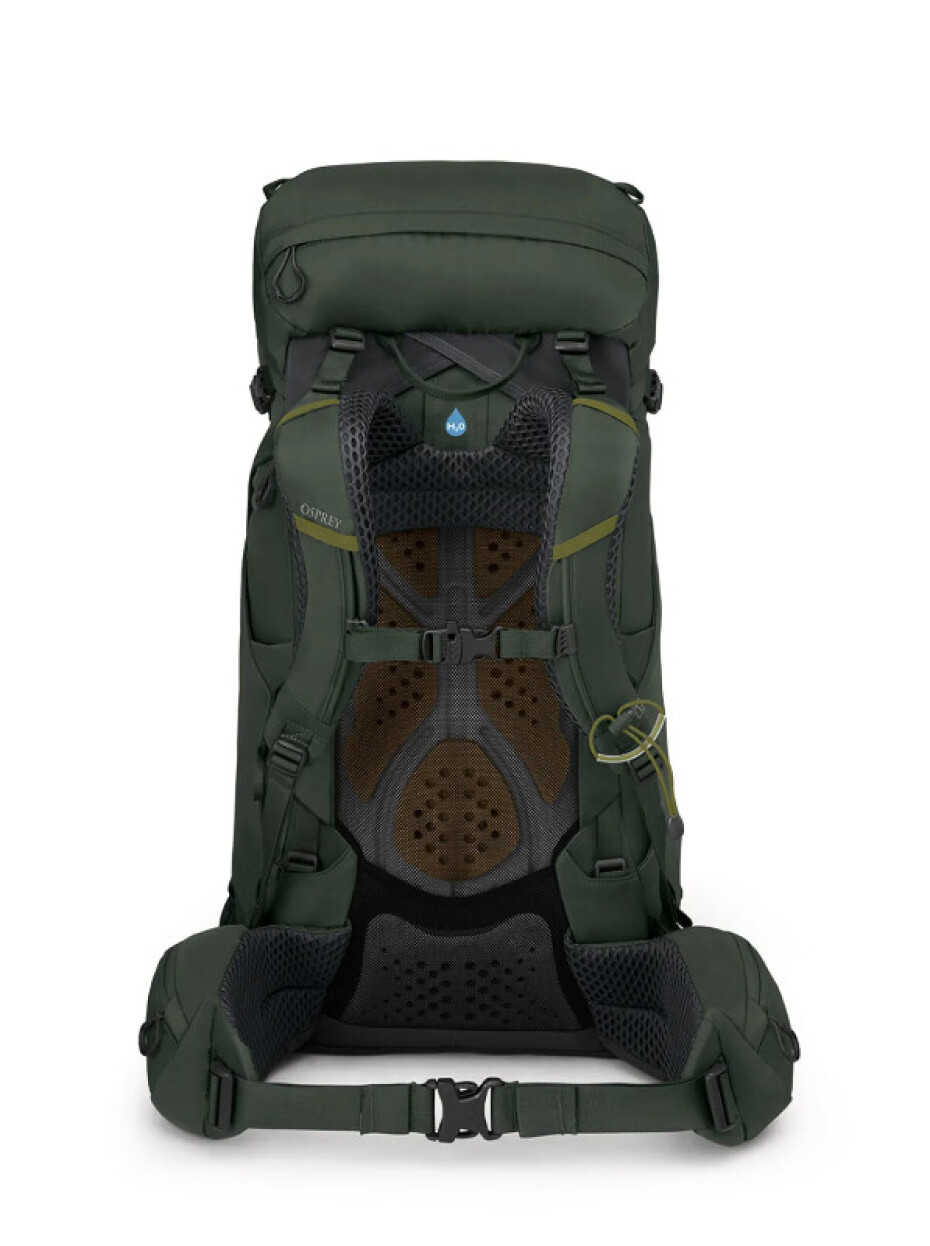 Osprey Kestrel 38l bonsai green - main (2)