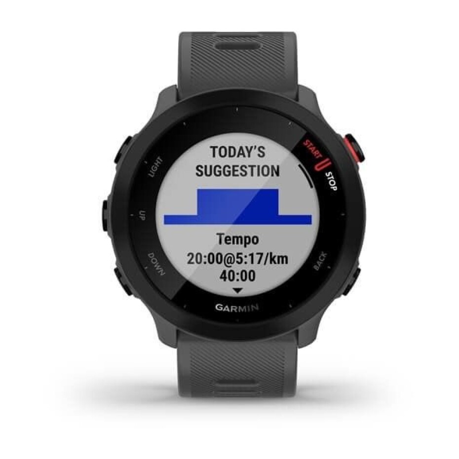 Garmin Forerunner 55 Grey 010-02562-13 - main (1)