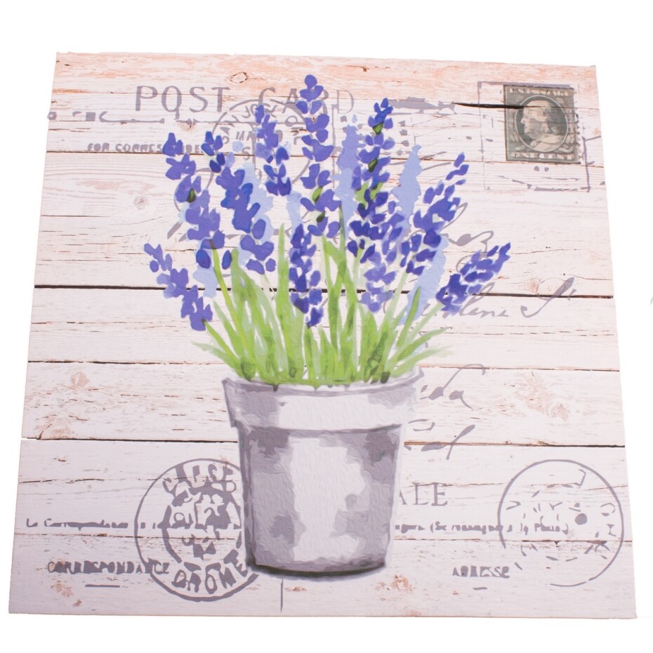 Obraz na plátně s levandulí Post Card, 40 x 40 cm - main (0)