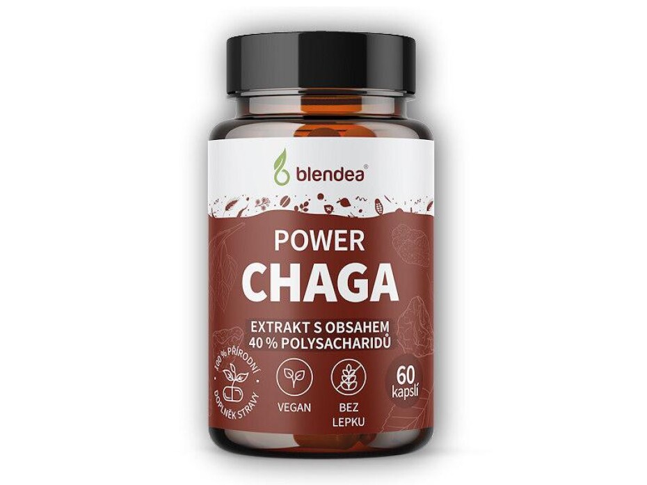 Blendea Chaga extrakt 60 kapslí - main (0)