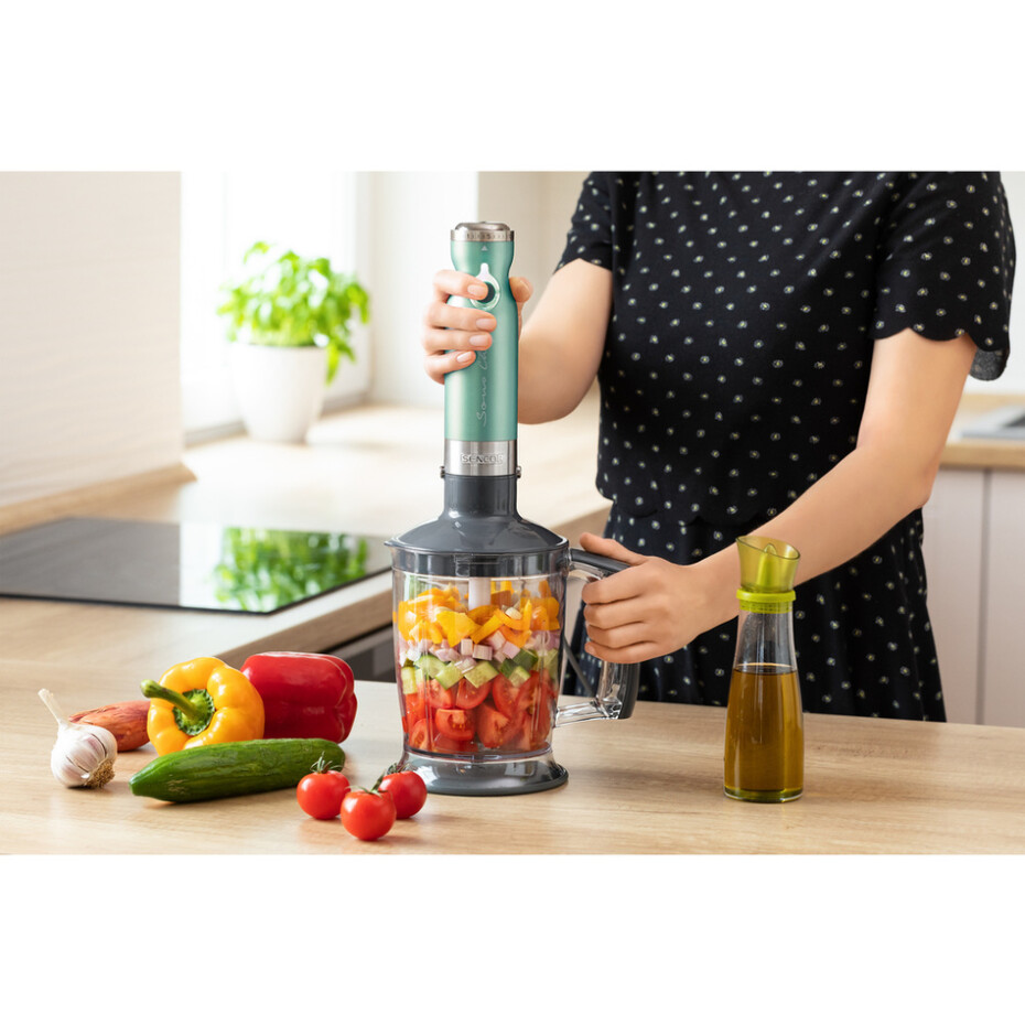 Sencor SHB 5601GR-EUE3 tyčový mixér - main (15)