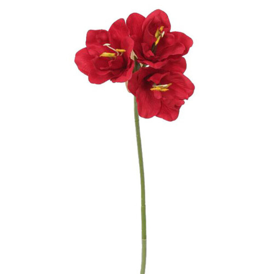 Umělá Amarylis tmavě červená, 54 cm - main (0)