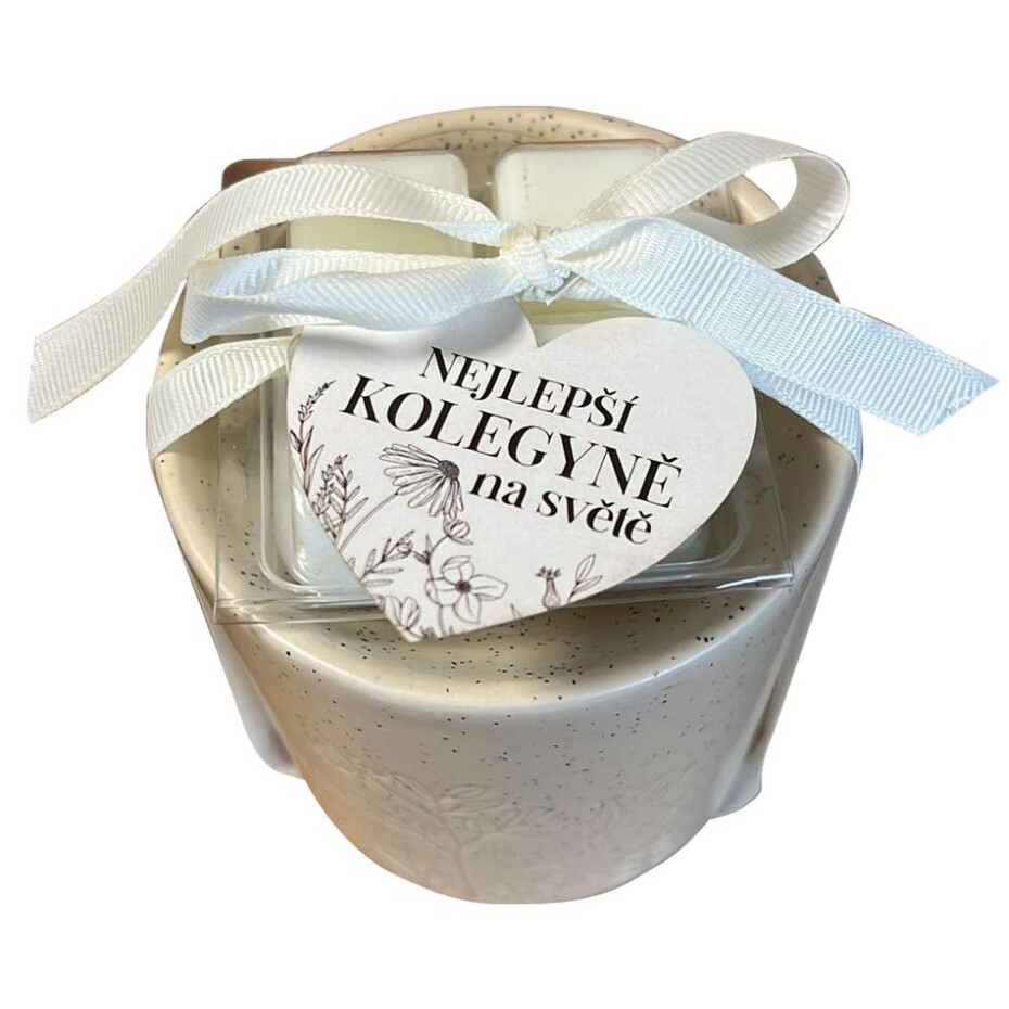 Bohemia Gifts Aroma lampa s vonnými vosky - Pro kolegyni - main (1)