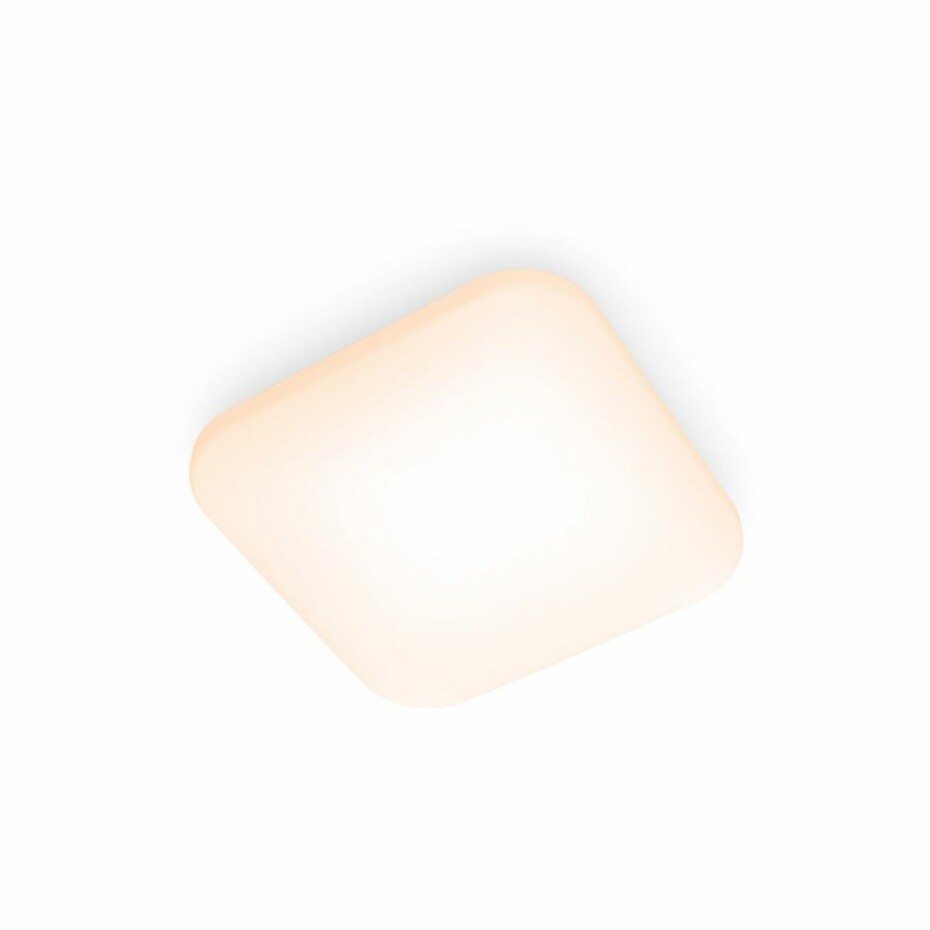 Philips 8720169195455 stropní LED svítidlo Mauve 1x 12 W 1200lm 2700K, pr. 26 cm - main (0)