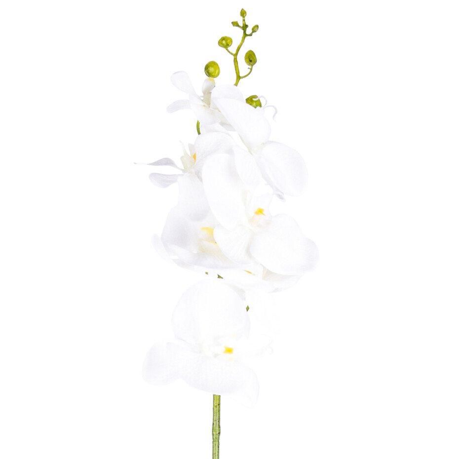 Umělá Orchidej čistě bílá, 86 cm - main (0)