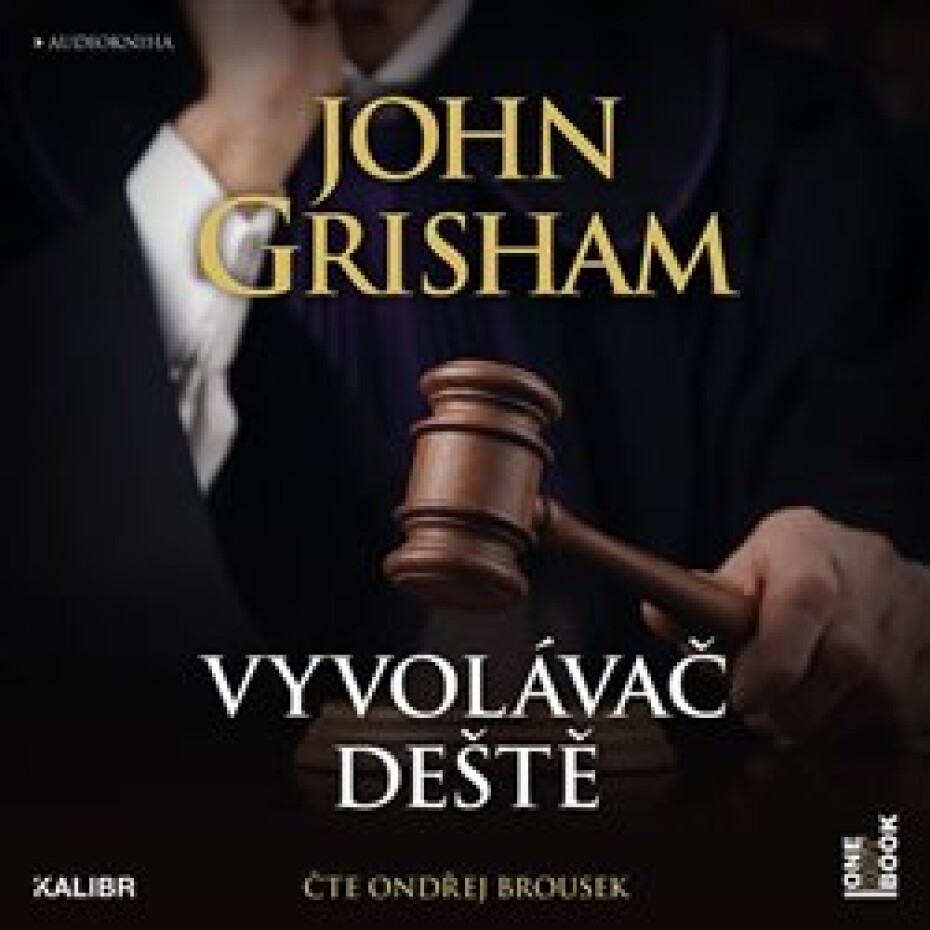 Vyvolávač deště - John Grisham - main (0)