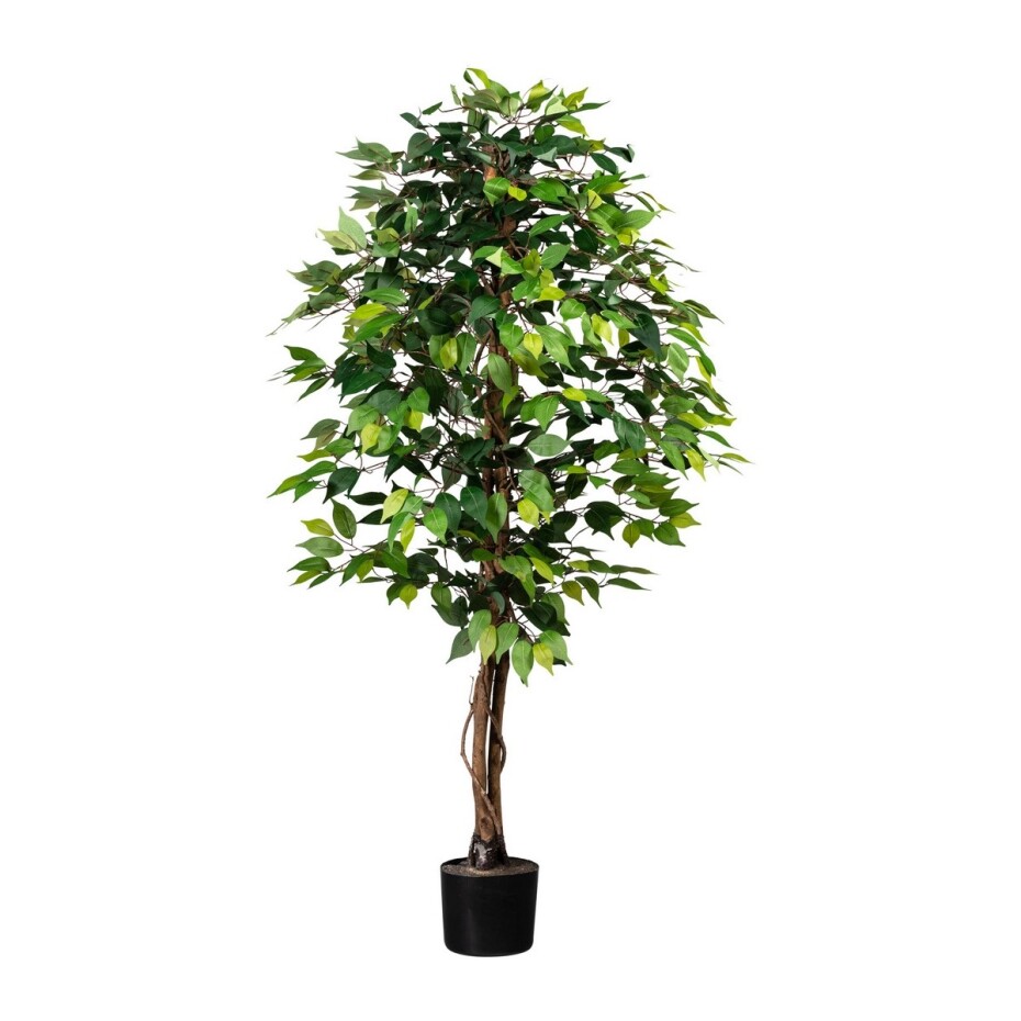 Umělá rostlina Ficus benjamin, 160 cm, zelená - main (0)