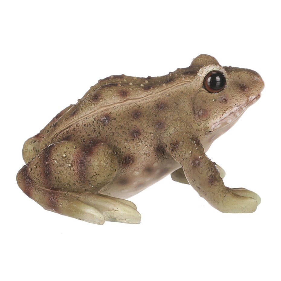 Zahradní dekorace Žába, 10 x 6 x 8 cm, polyresin - main (3)