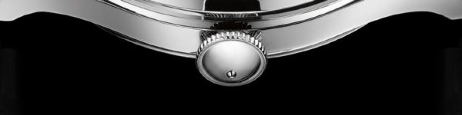 Ball Trainmaster Eternity NM2080D-SJ-SL - main (5)