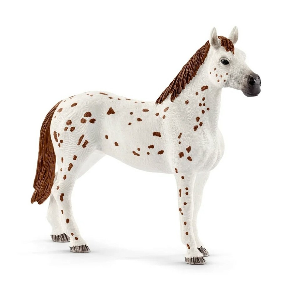 Schleich 42433 Appalosští koně a tréninkové příslušenství, 7 ks - main (2)