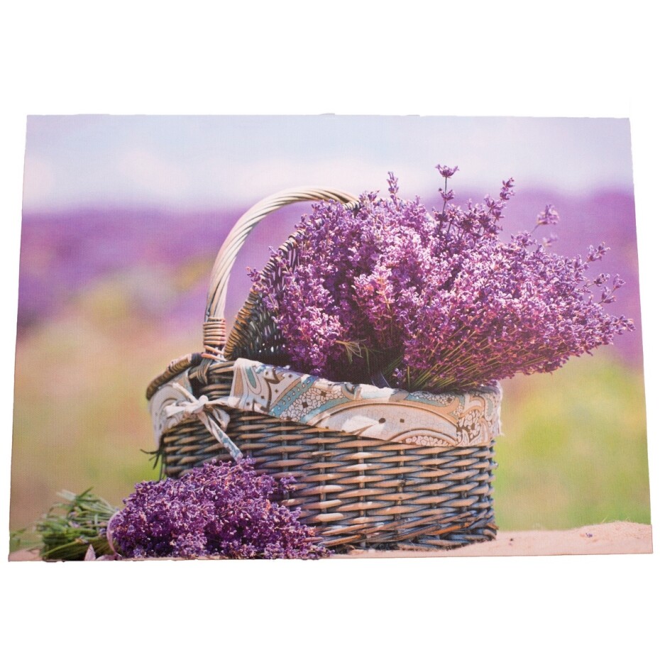 Obraz na plátně s levandulí Provence, 30 x 40 cm - main (0)