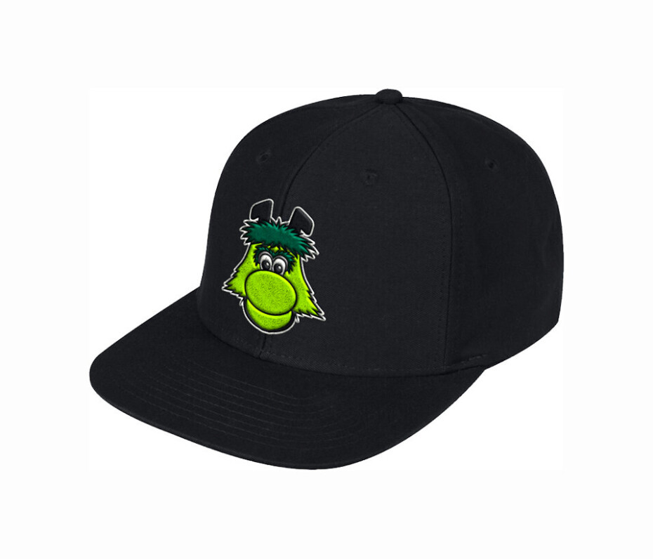 Kšiltovka adidas Kšiltovky  Mascot NHL Flat Brim Dallas Stars - main (0)