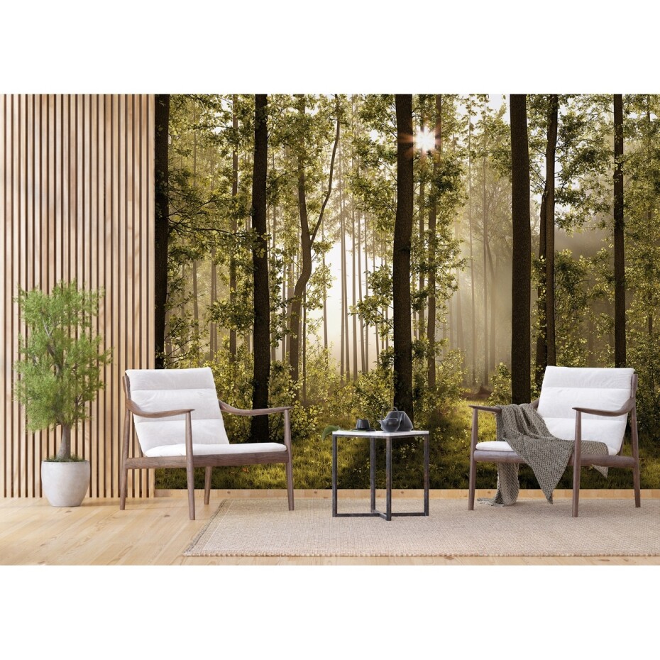 Fototapeta XXL Forest 360 x 254 cm, 4 díly - main (2)