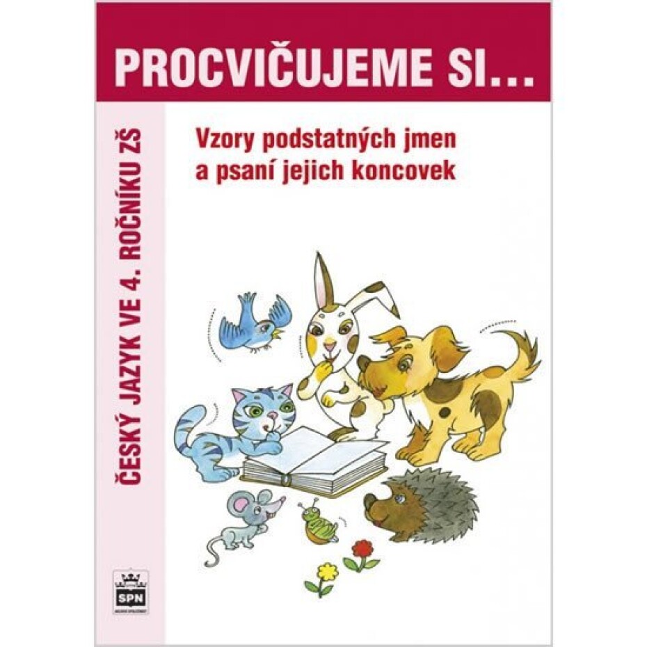 Procvičujeme si vzory a psaní koncovek podstatných jmen pro 4. r. ZŠ - Lenka Galertová - main (0)