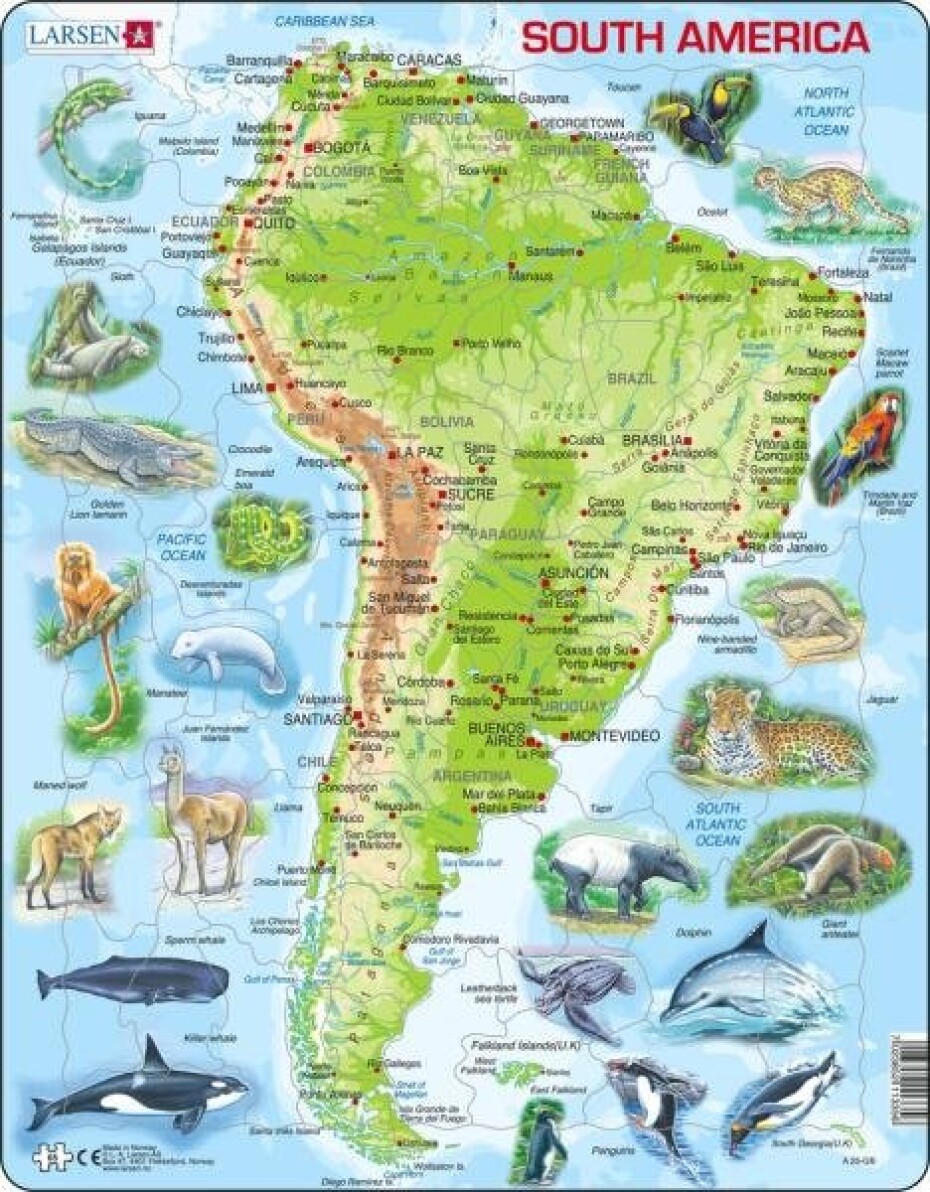 Puzzle South America Topographic Map - main (0)