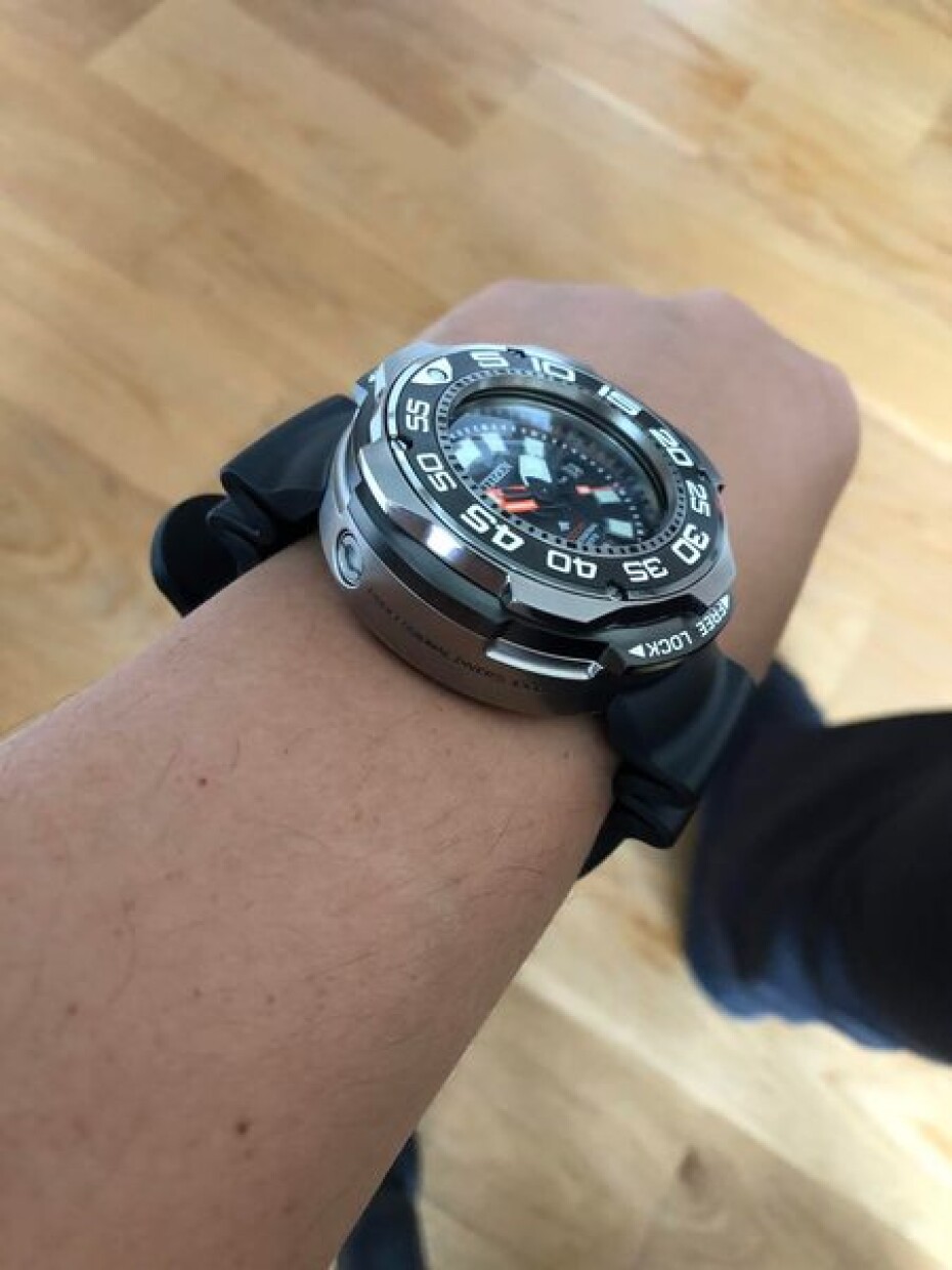 Citizen Promaster Aqualand Divers 1000m BN7020-09E - main (11)