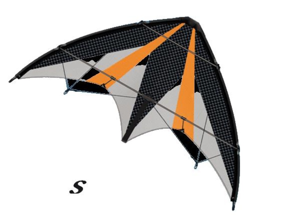Günther Air Sport™ SYNERGY 125 GX Profesionální řiditelný sportovní drak - main (0)
