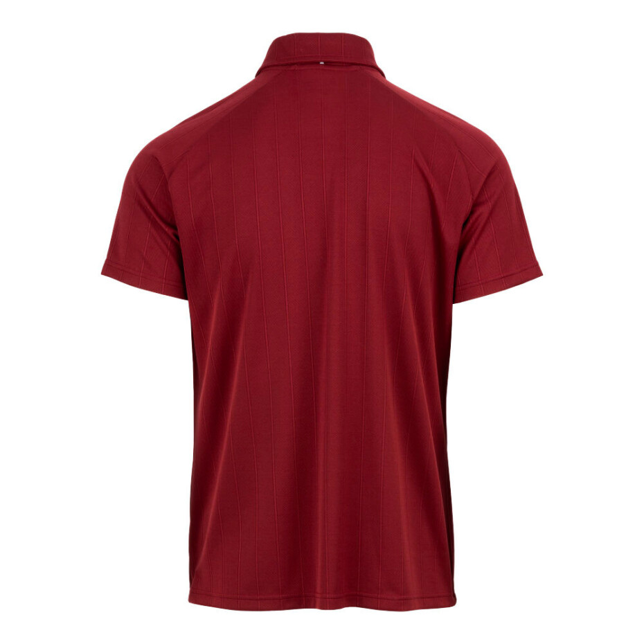 Pánské tričko Fila  Polo Harry Cabernet - main (1)