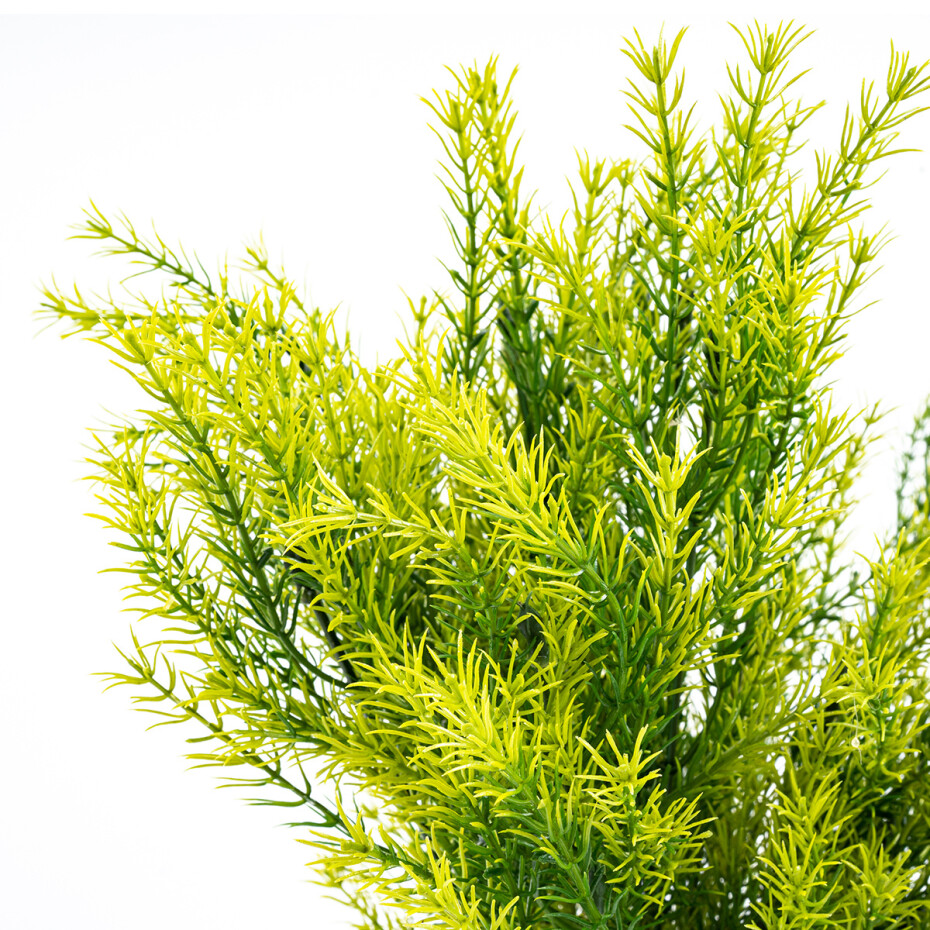 Umělý svazek Asparagus, 53 cm - main (1)