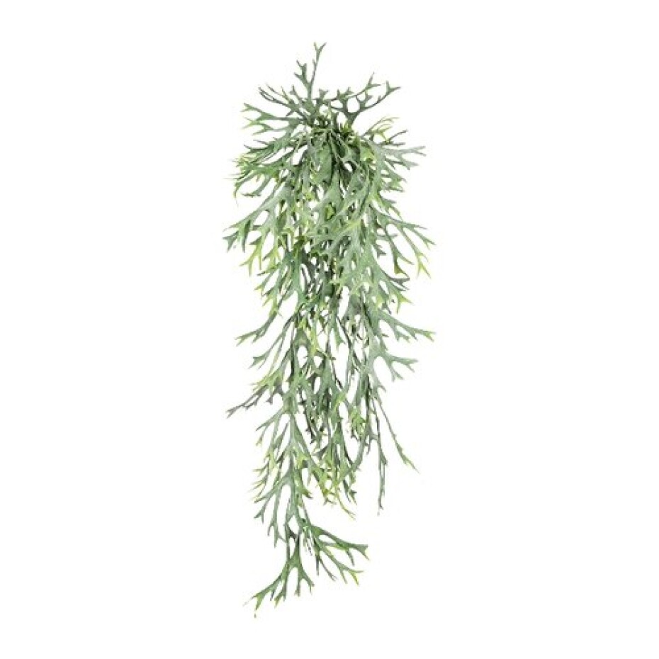 Umělá rostlina Parožnatka závěsná, 75 cm, zelená - main (0)
