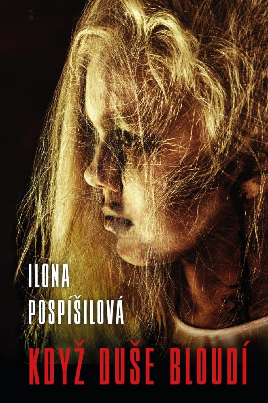 Když duše bloudí - Ilona Pospíšilová - main (0)