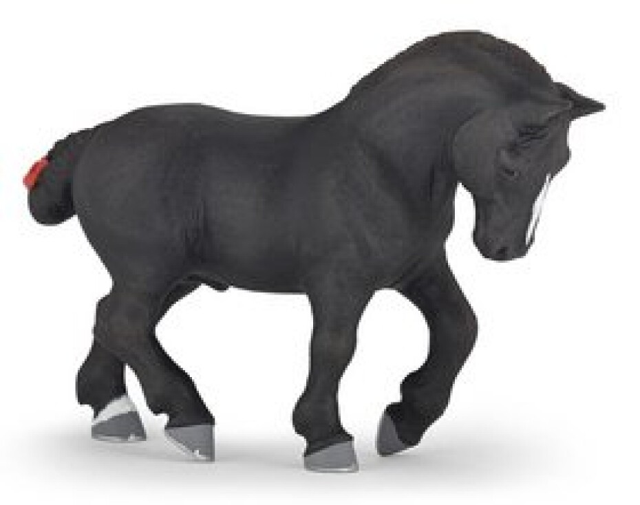 Percheron - main (0)
