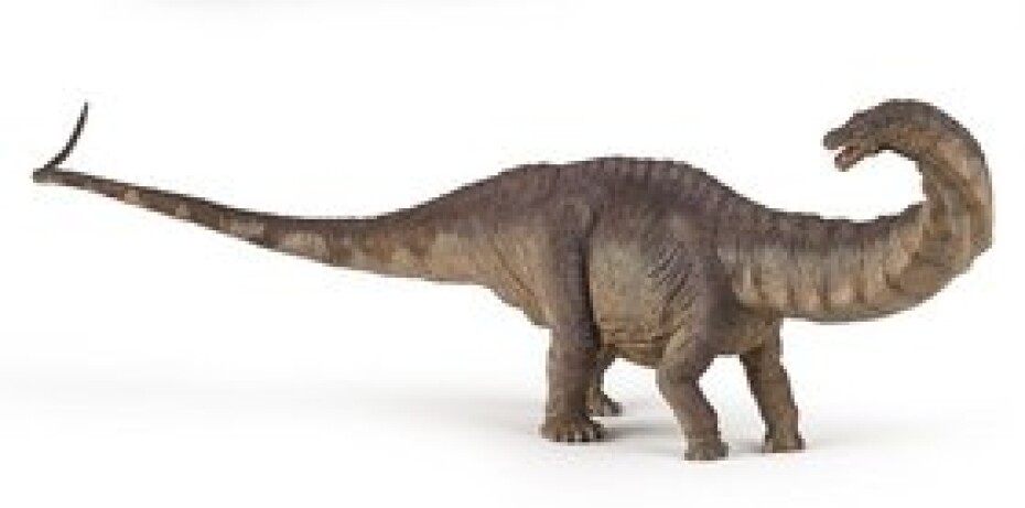 Apatosaurus - main (0)