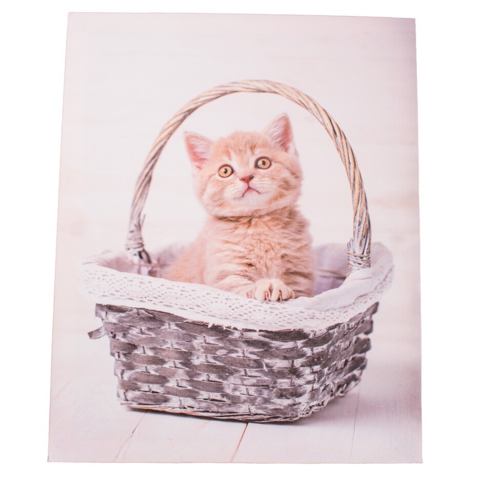 Obraz na plátně Kittie in basket, 30 x 40 cm - main (0)