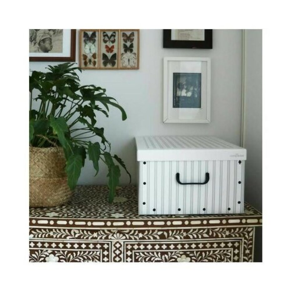 Compactor Skládací úložná krabice - karton box Compactor Anton 50 x 40 x 25 cm, bílá / šedá - main (1)