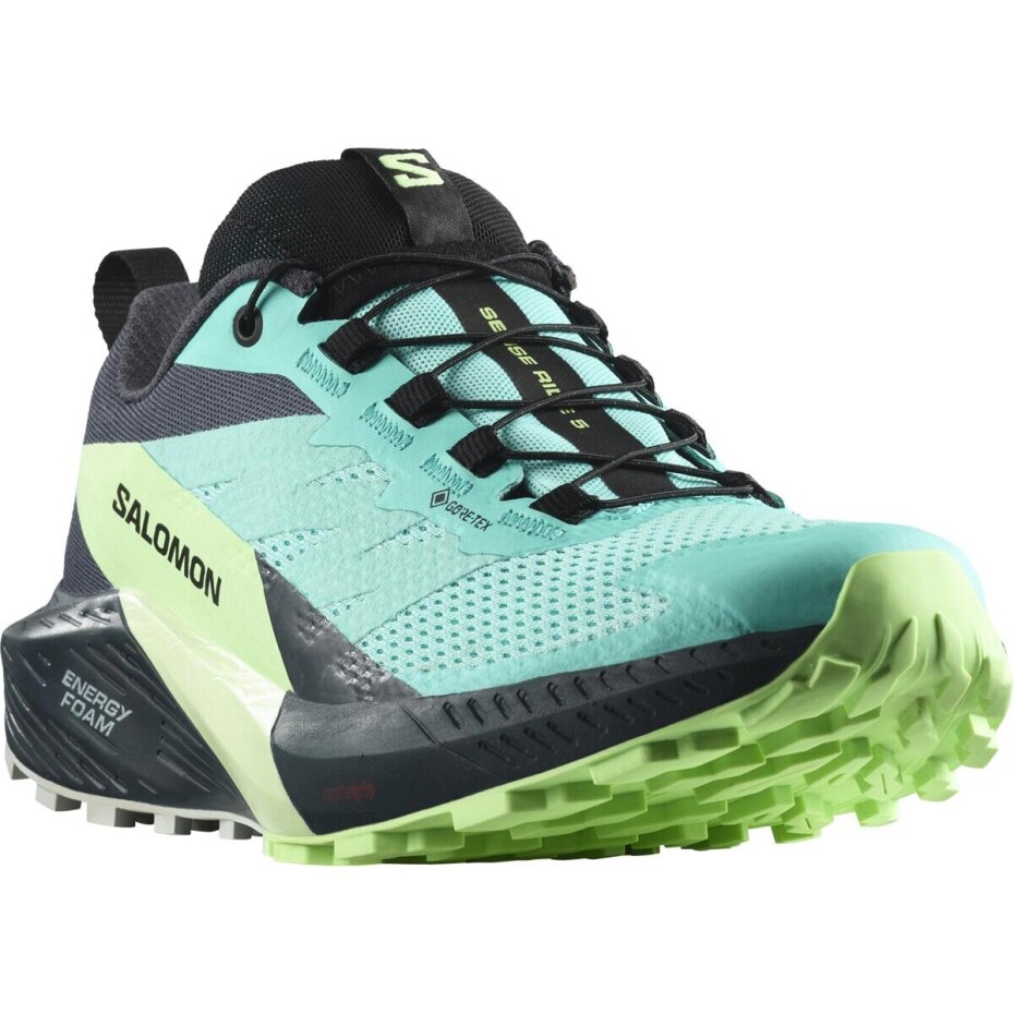 Dámská běžecká obuv Salomon Sense Ride 5 Gtx Blue Radiance / Green Ash / India Ink  UK 6,5 - main (3)