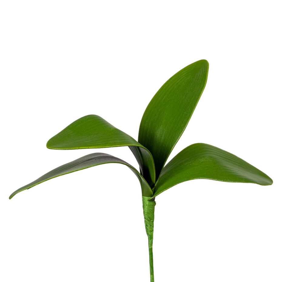Umělý List orchideje, v. 20 cm  - main (3)