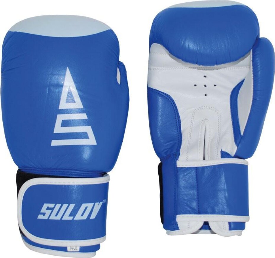 Sulov Box rukavice kožené modro-bílé - main (0)