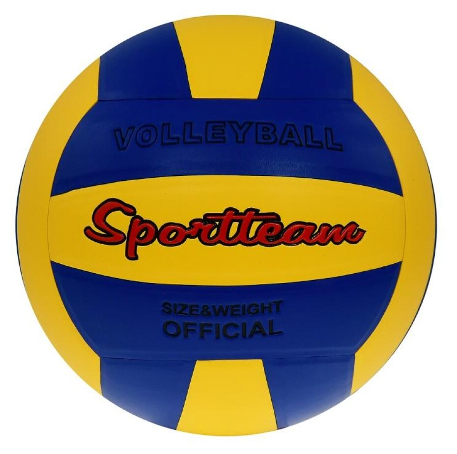 Rulyt Volejbalový míč Sportteam modro-žlutá - main (0)