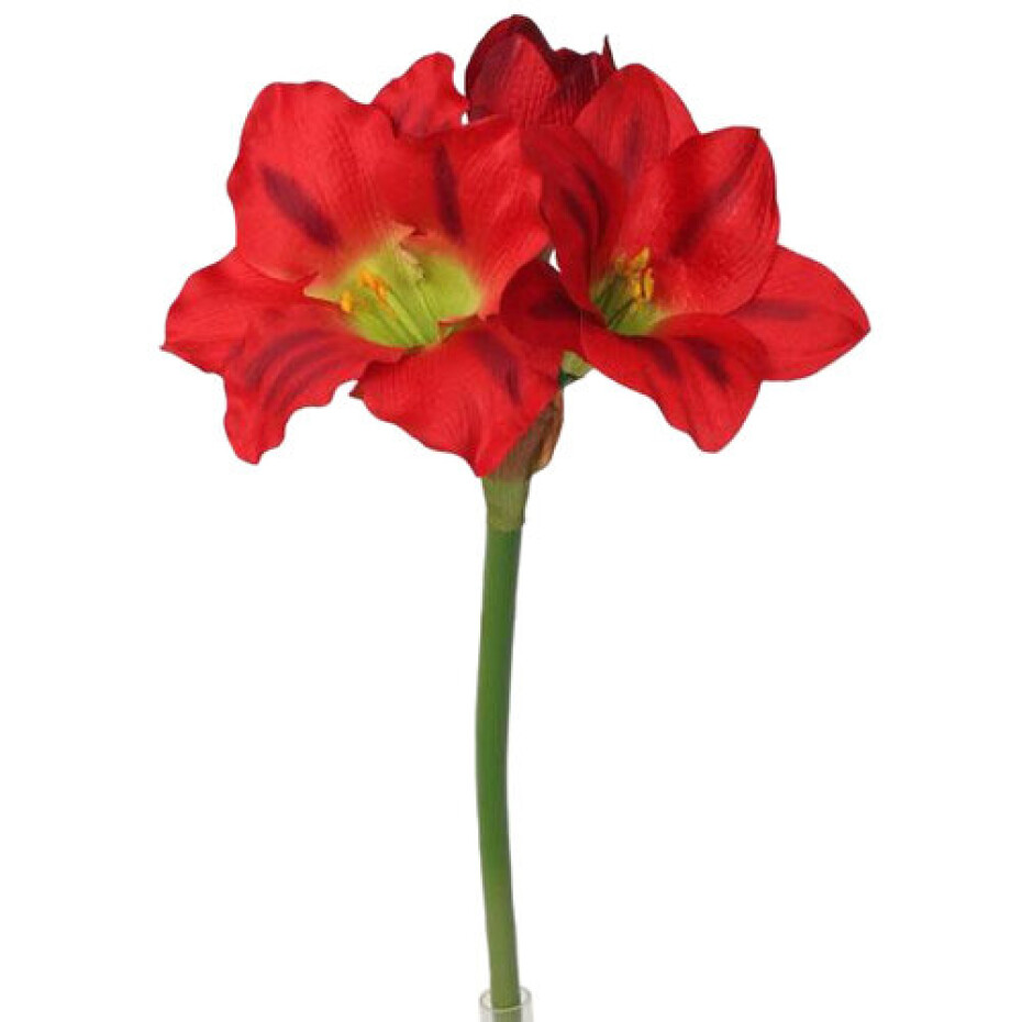Umělá Amarylis červená, 52 cm - main (0)