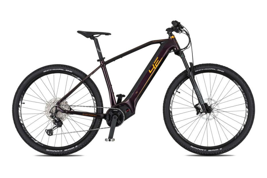 4Ever Exstream Pro 2024 - main (0)