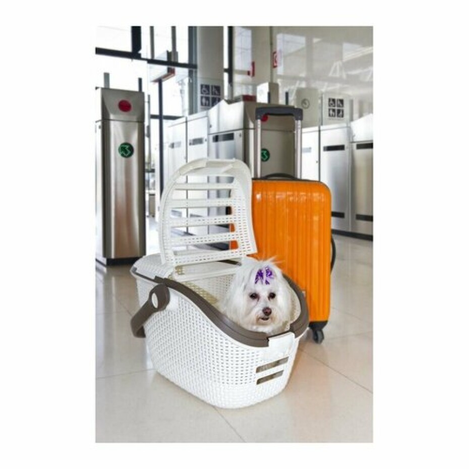 Curver přepravka Rattan 51x38x33cm - main (1)
